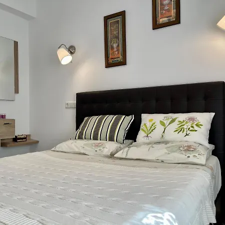 Papagayo Cómodo, Bonito, Céntrico