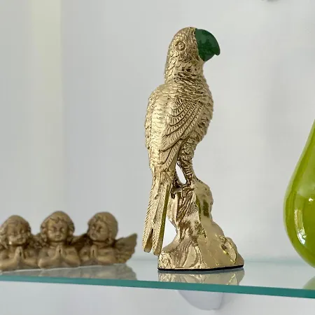 Papagayo Comodo, Bonito, Centrico