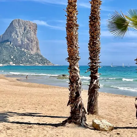 Papagayo Comodo, Bonito, Centrico Calpe