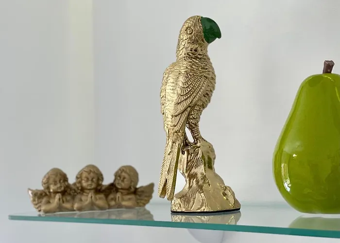 Papagayo Cómodo, Bonito, Céntrico