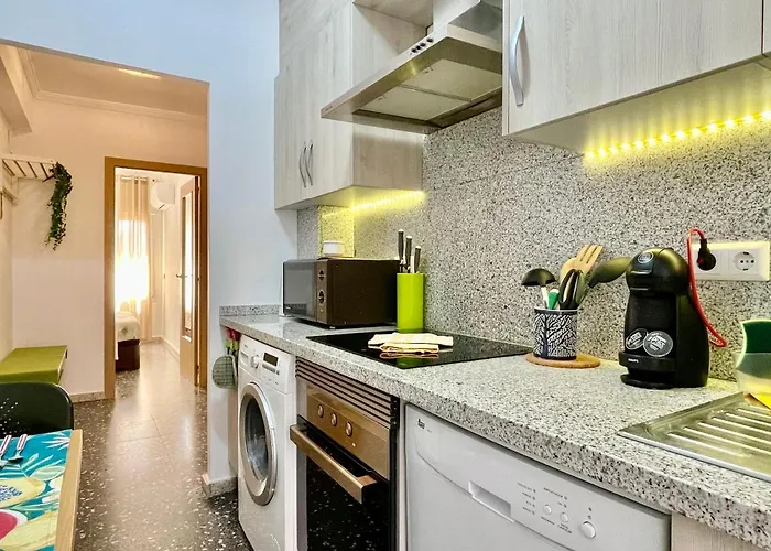 Papagayo Comodo, Bonito, Centrico