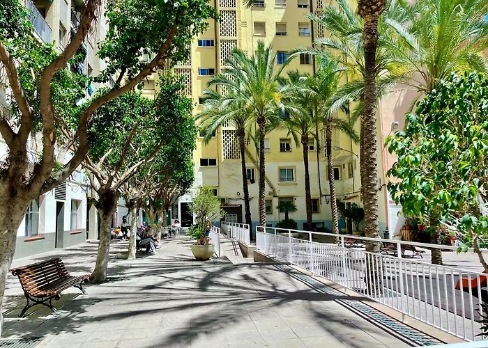 Papagayo Cómodo, Bonito, Céntrico